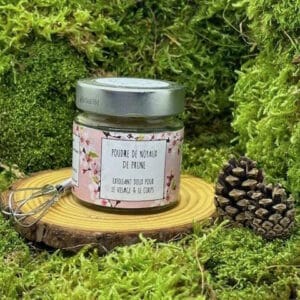 poudre de noyaux de prune biologique 55g